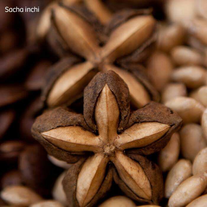 Sacha Inchi - PERUVIAN  EXPORT